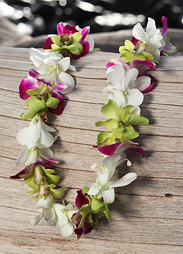 three color orchid lei